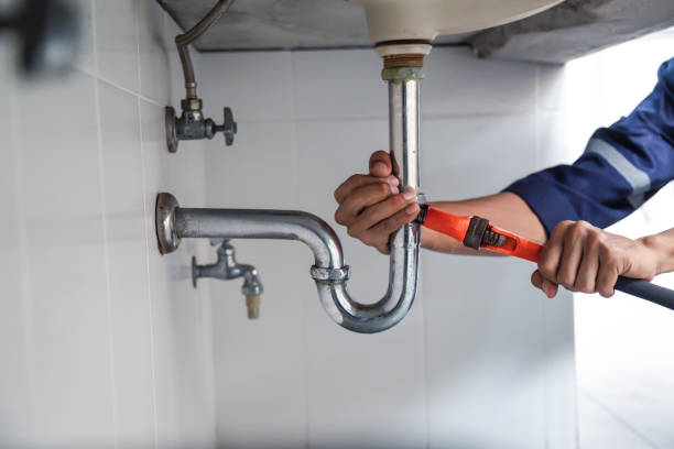 Best Clogged Drain Plumber  in Kewaskum, WI